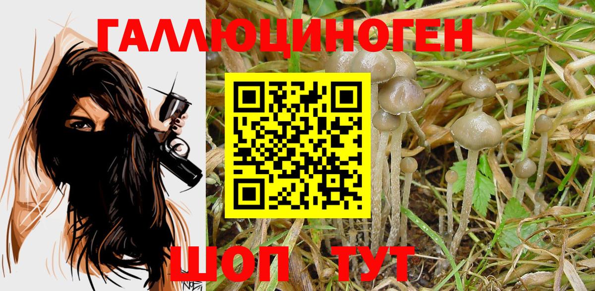 Галлюциногенные грибы GOLDEN TEACHER  Вход с VPN  Красноармейск 