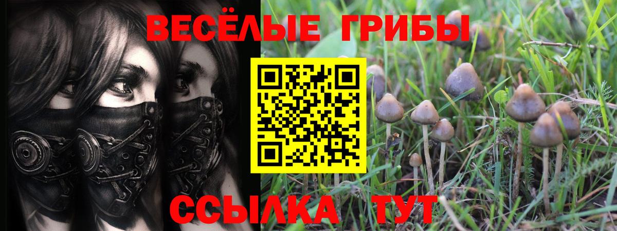 Псилоцибиновые грибы Magic Shrooms Красноармейск